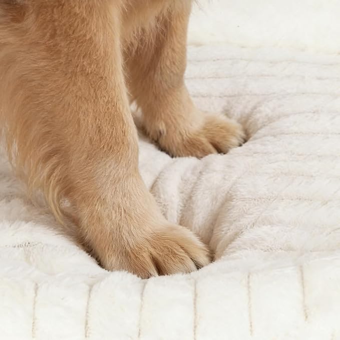 Orthopedic Dog Bed, Washable XXL Dog Couch for Senior Dogs | 43L x 31W x 5.5H, Egg-Crate Foam, Low Front Entry Design, Removable Cover, Non-Slip Bottom, Extra Large Dog Bed, Cream