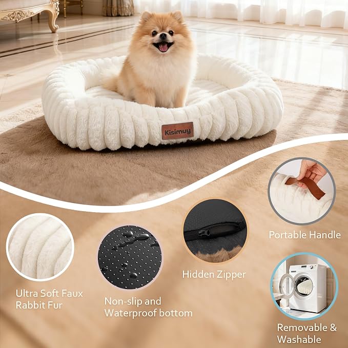 Orthopedic Dog Bed, Washable Medium Dog Couch for Senior Dogs | 30L x 24W x 5H, Egg-Crate Foam, Low Front Entry Design, Removable Cover, Non-Slip Bottom, Medium Dog Bed, Cream