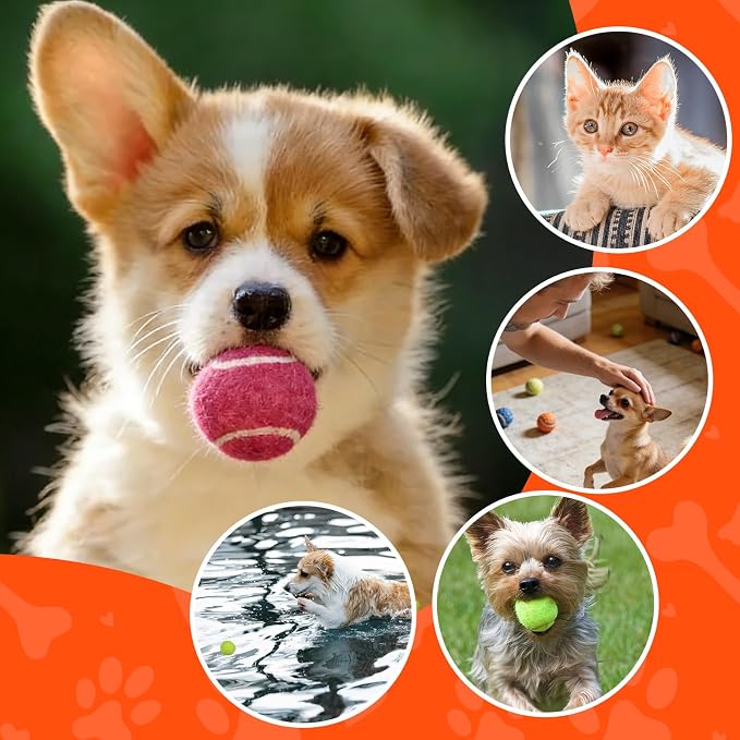 INSUM 1.5 Inch Mini Tennis Balls for X-Small Dogs & Cats, 20/40 Pack Soft Fetch Play Toys for Puppies & Kittens, Training & Indoor Outdoor Exercise
