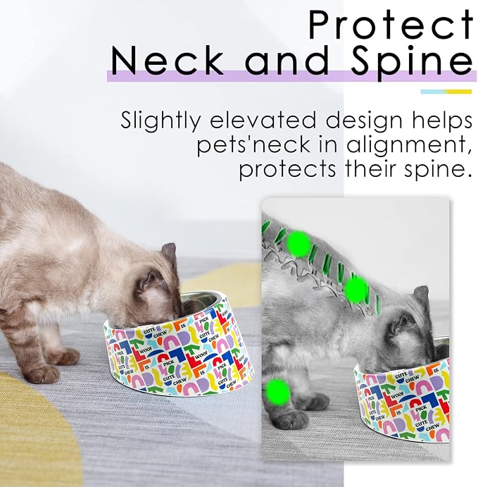 Super Design Mess Free 15° Slanted Bowl for Dogs and Cats, Tilted Angle Bulldog Bowl Pet Feeder, Non-Skid & Non-Spill, Easier to Reach Food
