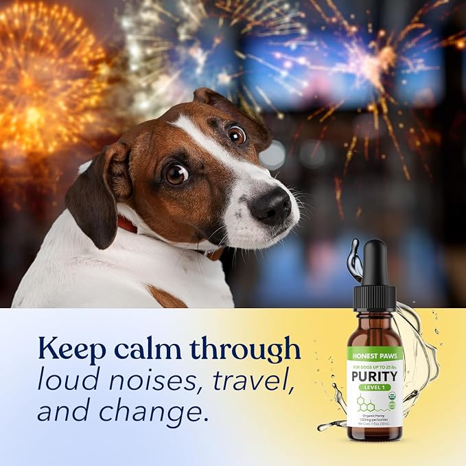 Honest Paws Hemp Oil for Dogs - Natural Hemp Seed Oil Calming Purity Drops for Dogs - Rich in Omega 3 6 9 to Promote Healthy Bones, Joint Support, Relaxation, Managing Normal Stress - Made in The USA