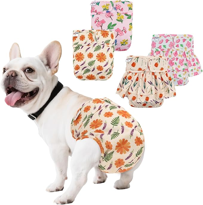 Female Dog Diapers Reusable No Tail Hole Period Panties Washable Diapers Female for Docked-Tail Frenchie French Bulldog Boston Terrier Without Tail (2 Pack Regular+2 Pack Skirts) U-WWDQB05M