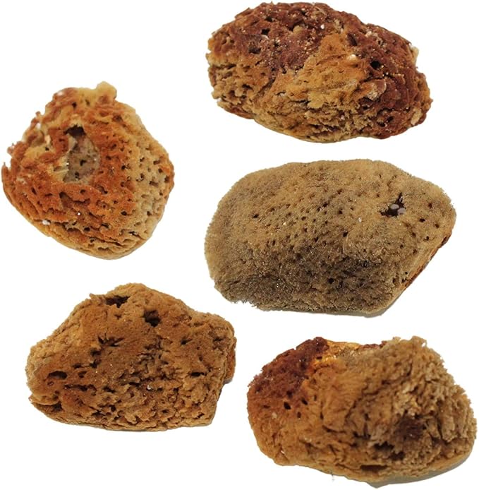 Needzo Hermit Crab Natural Sponge for Water Dish, Drinking and Tank Humidity, Size May Vary, Pack of 25