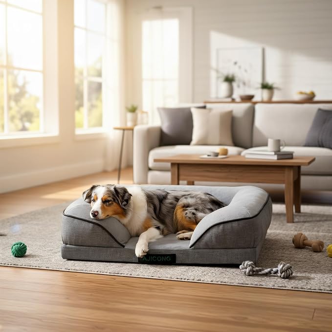 Orthopedic Egg-Shaped Sponge Dog Beds Large Sized Dog with Sides, Removable Cover and Non-Slip Bottom (Grey, 35 * 25 * 8)
