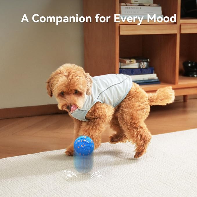 Cheerble Smart Interactive Dog Toy, Wicked Ball AIR Neo, Heartbeat Puppy Toy Automatic Moving, Bouncing, and Rotating, ETPU Material, IPX7 Waterproof Rating, Active Rolling Ball for Medium & Large Dog