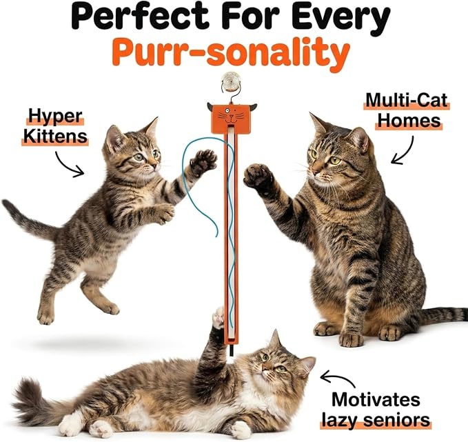 Moody Pet Interactive Cat Toy for Indoor Cats – Fling-AMA-String Automatic, Moving, Flying String Toy for Cats – Battery Operated, Door Hanging Exercise Toy for Kittens & Adult Cats