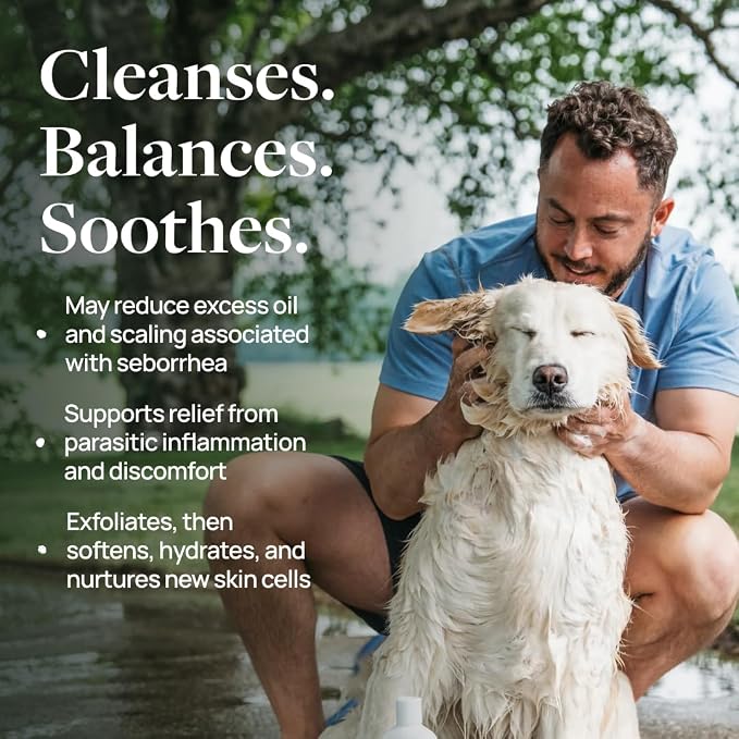 Veterinary Formula Clinical Care – Antiparasitic & Antiseborrheic Medicated Dog Shampoo – Supports Dry, Irritated Skin and Helps Soothe Occasional Itchy Spots – 16 oz - 2-Pack