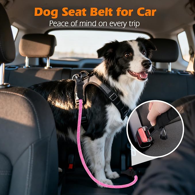 PetBonus Dog Seat Belt for Car and 2-Pack Silicone Collapsible Dog Bowls