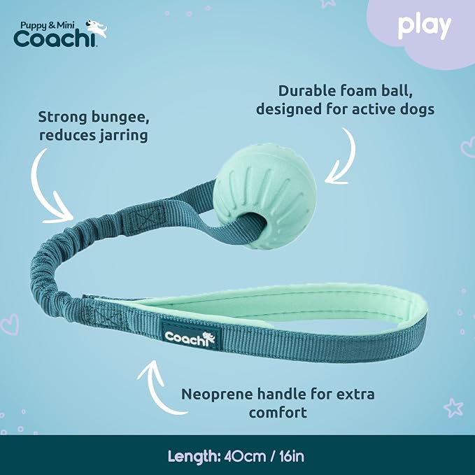 Coachi Puppy & Mini Tuggi Ball - Lightweight, Tough Dog Toy, Stretchy Bungee Handle, Reward Training, Agility, Recall, Interrupt Biting & Chewing, Suitable for Small Dogs & Puppies