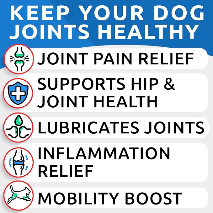 Glucosamine Dog Chews + Old Dog Joint Pain Relief Supplement Bundle - Senior Advanced Hip & Joint Support Formula - Chondroitin, MSM, Omega-3 - Bacon Flavor - 120 + 120 Chews - Made in USA