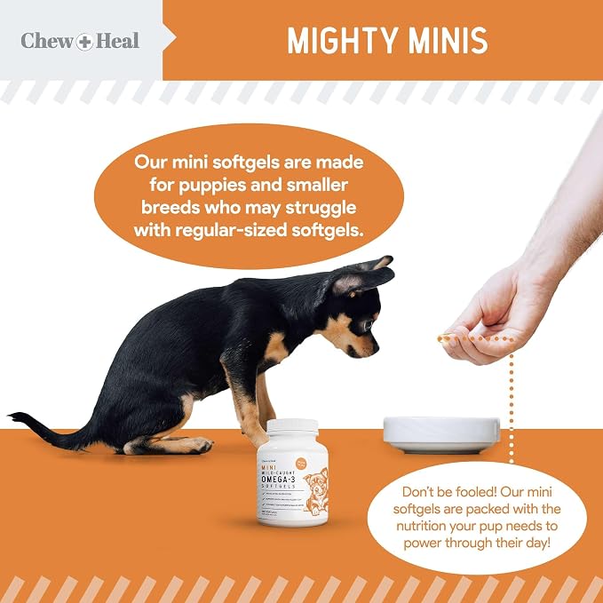 Omega 3 Fish Oil for Dogs Small Breeds & Puppies - 180 Mini Softgels - Dog Skin & Coat Supplement 300mg Wild Caught Salmon Oil - Shedding, Itch Relief, Hot Spots, Allergies - EPA and DHA - Chew + Heal