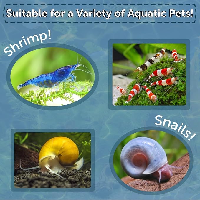 Calcium Blocks Included in Snail & Shrimp, 4mm-3/16 Sinking 40% Protein Nuggets for Snails, Shrimp, Crabs, All Bottom Tropical Fish...2-lbs Jar