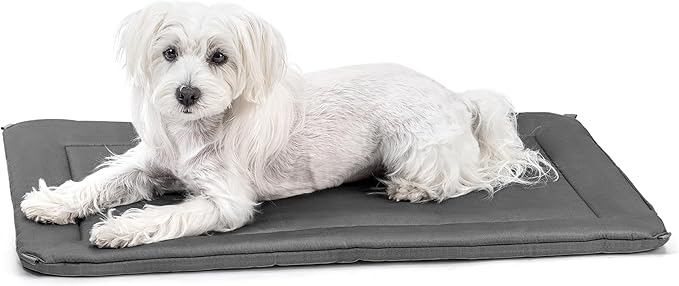 PELZIN Cybarmour 2.0 Chew Proof Dog Crate Pad - Outdoor Chew Resistant Dog Bed with Corner Anchor - Machine Washable - Water & Dirt-Resistant - Small Breeds & Fits 24-Inch Crate - 23"x15", Charcoal