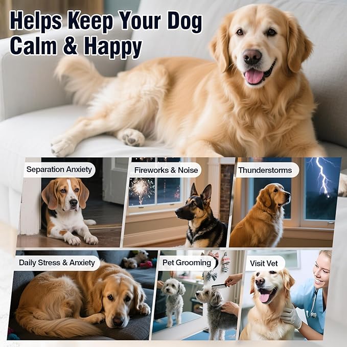Dog Calming Chews 200ct, Calming Chews for Dogs - Anxiety and Stress Relief Treats Melatonin Bites Sleep Calm Dog - Separation, Fireworks, Thunder, Barking for Dogs - Chicken