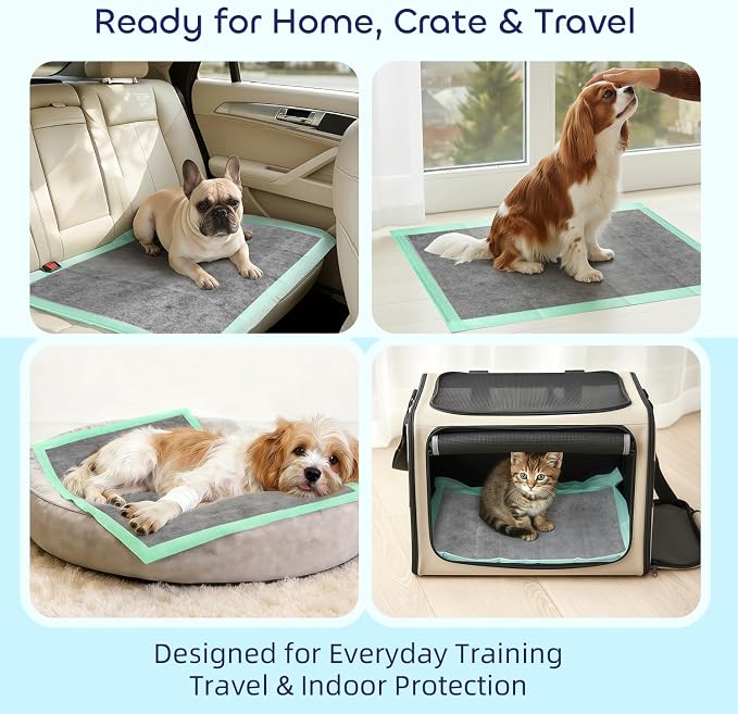 Pawtasy Charcoal Dog Pee Pads XXL, 50 Count,28" x 34" Extra Large Disposable Puppy Training Pads with Bamboo Charcoal Odor Control, 5-Layer Super Absorbent & Leak-Proof Pet Potty Pads for Dogs, Cats