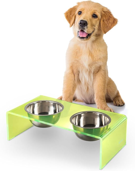 DBL2000G Keaton 5" Small/Medium Modern Acrylic Rectangular Elevated Pet Feeder with 20oz 2-Stainless Steel Bowls, Green/Chrome