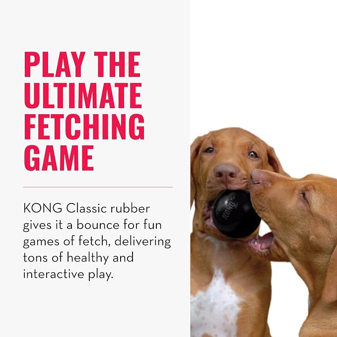KONG Extreme Ball with Hole - Fetch Toy - Durable Dog Toy for Training, Interactive Playtime & More - Natural KONG Extreme Rubber Ball - Black - For Small Dogs