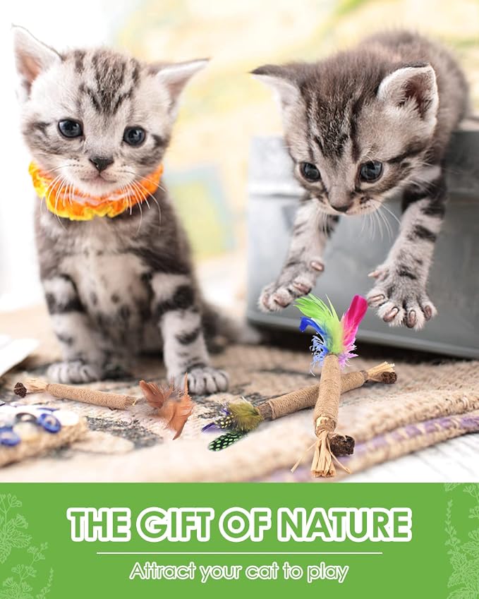 TINDTOP Silvervine Sticks for Cats with Natural Feather, Catnip Chew Toys | for Kittens Teeth Cleaning, Increase Appetite, Calm Cat Anxiety and Stress, Cat Dental Toy, 3 Pack