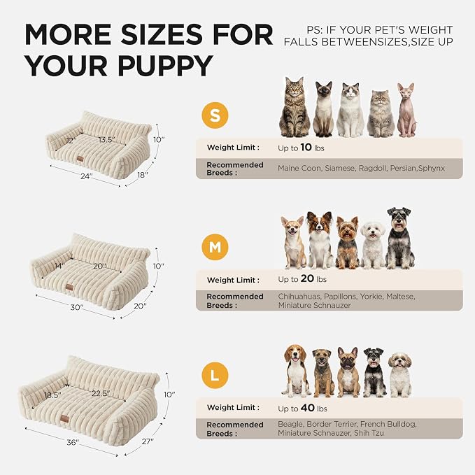 Joydeco Cat Couch for Pets, 30 inch Plush Pet Sofa, Cat Bed for Indoor Cats with Removable Washable Cover, Supportive Pet Sofa, Cream