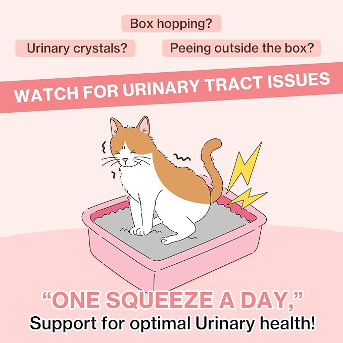 Doctor By UT Care Cat UTI Kidney Support Urinary Supplement Cranberry Treatment for Cats Renal Health with Pacran, Quercetin, Taurine lickable Formula Individually Packaged (1 Pack)