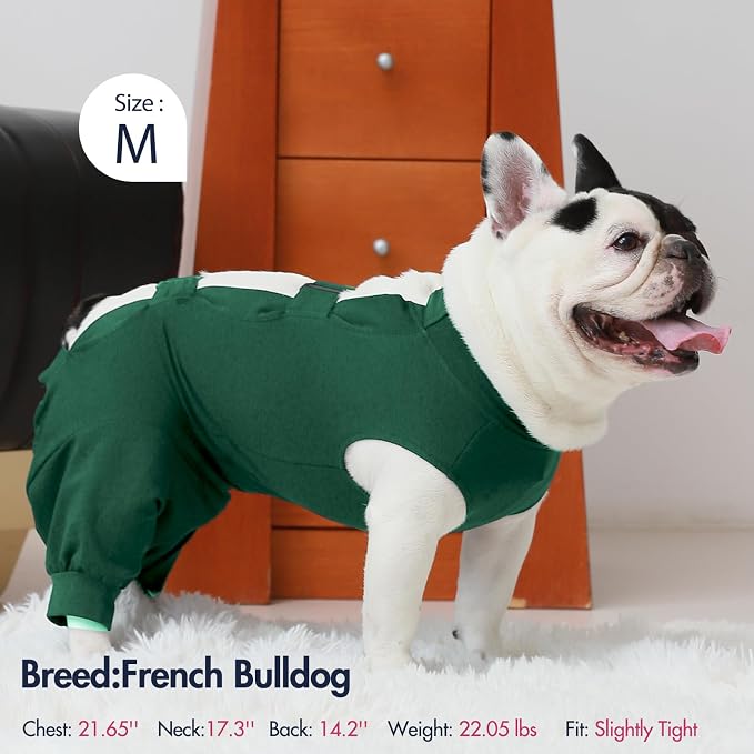 IECOii Dog Recovery Suit Female Male Dog Onesie After Surgery Spay Neuter,Soft Dog Surgical Suit Protect Abdominal and Rear Leg Wounds,Sleeve Dog Post Surgery Onesie for Dogs to Stop Licking,L-Green