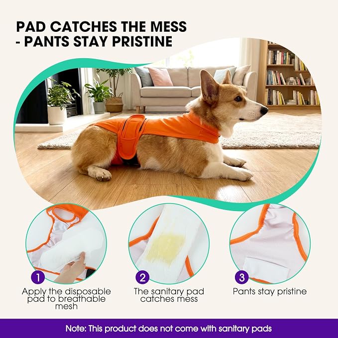 Dog Diapers for Female Dogs, Washable Reusable Female Dog Diapers, Leak Proof Doggie Underwear Sanitary Pants for Heat Cycle, Incontinence and Puppy Training, Adjustable Belly Bands- Orange 2XL