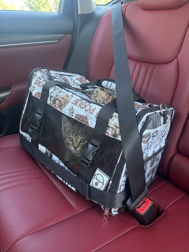 Airline Approved Pet Carrier with Wheels – 6 Removable 360° Spinner Wheels, Telescopic Handle with Phone Holder, Expandable Ventilated Cat & Dog Travel Carrier