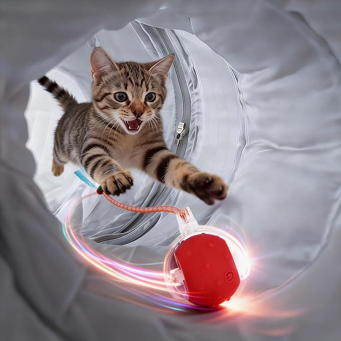 Cat Tunnel Bed with 31 Pcs Interactive Cat Toys, Automatic Cat Toys for Indoor Cats Kittens, Cat Tube with Moving Ball, Grey