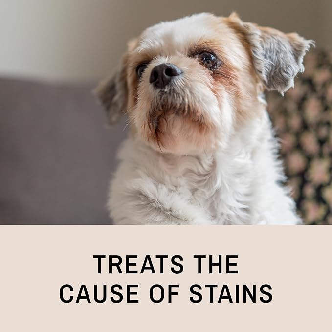 Eye Envy Tear Stain Remover Solution for Dogs. Gentle, Natural, Safe. Cleans Tear Stains. Recommended by AKC Breeders, Handlers, Groomers. 16 oz. Made in USA