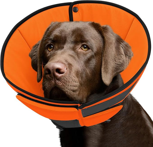 Queenmore Soft Cone for Dogs After Surgery, Dog Cones for Large Dogs to Stop Licking, Soft Dog Cone, Elizabethan Collar for Pets, Alternative Pet Recovery Collar for Wound Healing, Orange L
