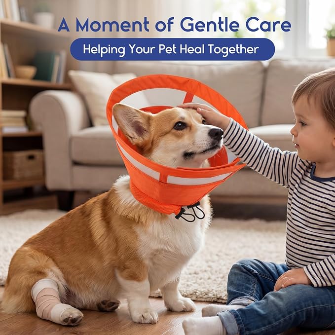 ASENKU Dog Cone Collar, Protective Recovery Dog Collar After Surgery, Comfy Adjustable Cone for Dogs to Stop Licking, Pet E-Collar for Small, Medium & Large Dogs(Orange, M)