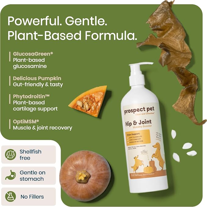 Hip and Joint Supplement for Dogs - Glucosamine with Plant-Based Chondroitin, MSM & Pumpkin - Advanced Joint Relief Dog Supplements for Large & Small Breeds - USA Made 16OZ