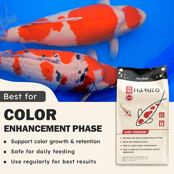 HARUTO Koi Food Color Enhancer 11lb - Color Enhancement & Scale Appearance | Spirulina & astaxanthin blend - color enhancing koi food supporting vibrant scale color, appearance care & color retention.