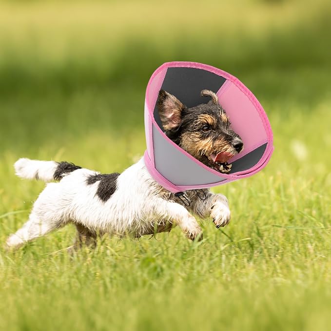 Queenmore Dog Cones for Medium Dogs, Soft Dog Cone, Cone for Dogs After Surgery, Adjustable Recovery Collar for Wound Healing, Comfortable Pet E-Collar to Stop Licking (Light Pink,M)
