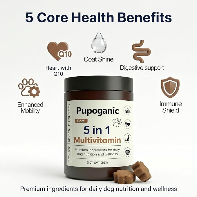 Dog Allergy Chews, Multivitamin Itch Relief Chews for Dog, Beef Flavor | With Salmon Oil, Chondroitin & Natural Vitamins, Skin and Coat Healthy, Digestive & Boost Immunity, 60 Soft Chews