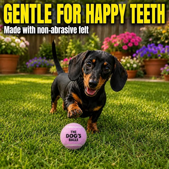 The Little Dog’s Balls Small Dog Tennis Balls 6-Pack Lilac Floats in Water | Our fetch balls combine non-abrasive felt exterior and a thicker rubber core Durable Dog Toy for Outdoor Play & Training