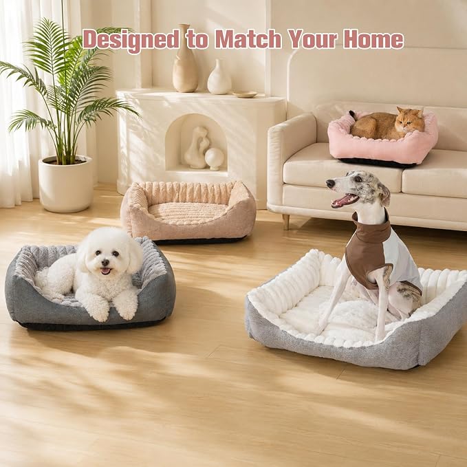 Avont Supportive Dog Bed for Medium Dogs, Plush Foam Fill, Pink | Removable Machine Washable Cover, Low 5.12" Entry for Pups & Seniors, 7:3 Foam-PP, Non-slip Bottom, Hidden Chew-proof Zippers