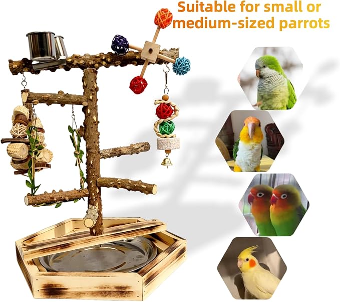 Natural Pepper Wood Bird Play Stand with Stainless Steel Bowls, Handmade Parrot Perch Gym with Chewing Toys & Bell, Tabletop Training Stand for Small to Medium Birds