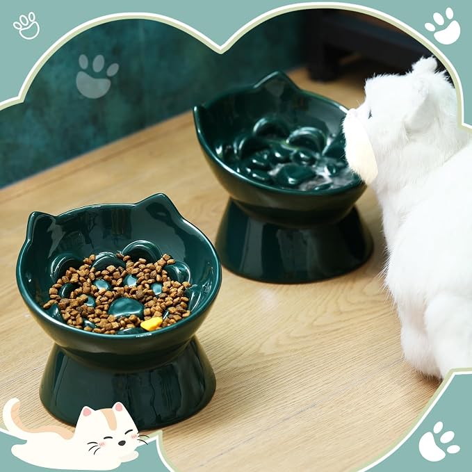 Funnymoom 2 Pcs Ceramic Raised Slow Feeder Cat Bowl, 5.91inch Elevated Cat Slow Feeder Bowl Tilted Anti Vomiting for Dry Wet Food and Water Easy to Clean High Edge(Dark Green)