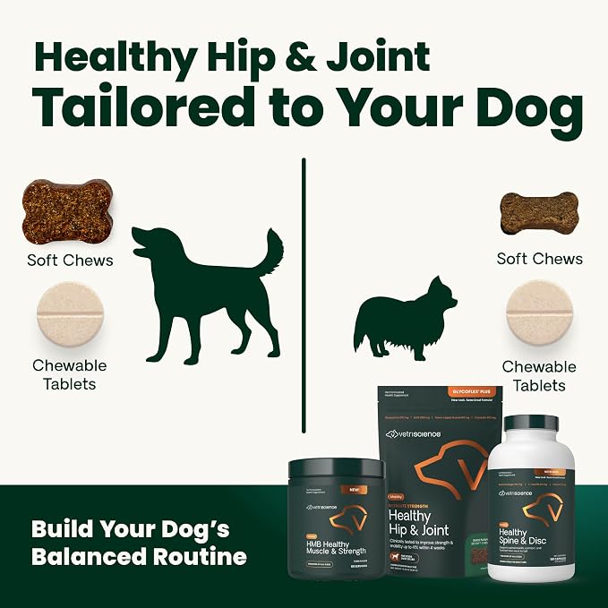 VetriScience Healthy Hip & Joint Chewable Tablets, GlycoFlex Glucosamine and Green-Lipped Mussel Joint Support Supplement for Dogs, Promote Mobility and Protect Joints, Chicken, 120 Count