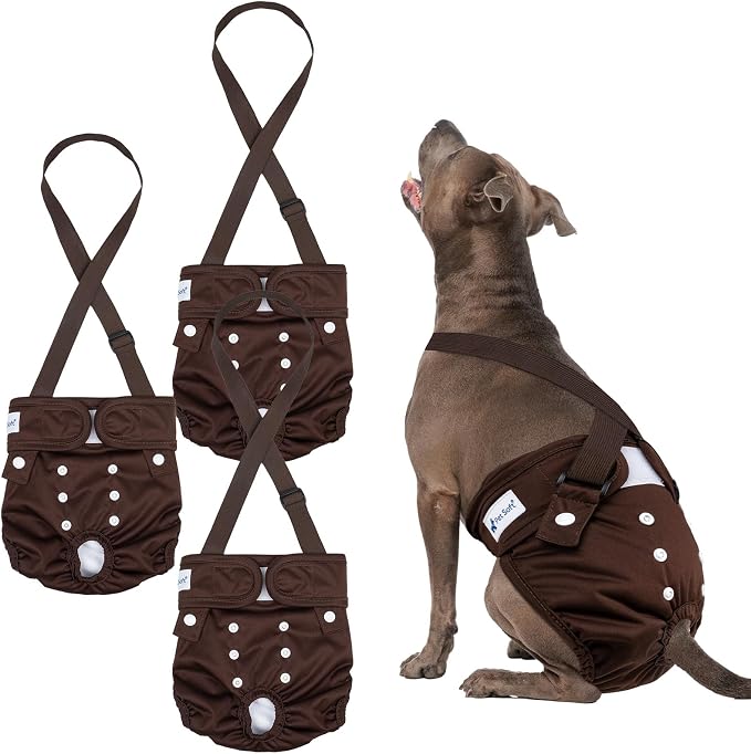 Pet Soft Dog Diapers Female with Suspenders, 3 Pack Reusable Female Dog Diapers for Heat, Dog Period Panties for Doggie in Cycle(Large, Bear Brown)