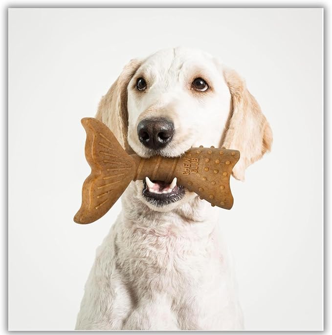 Powerbone Pet Chew Toy for Dogs - Durable, Non Toxic & Pet Safe - Best for Aggressive Chewers, Long Lasting Dental Health, Dog Teeth Cleaning, Dog Life Stages - Twist Tail 6'' (Pack of 2)