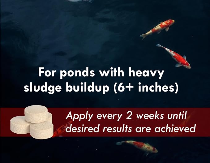 Koiworx Muck Reducer - Treats up to 2,500 gallons for up to 4 Months - Tablets Reduce Muck, Sludge and Organic Build up - Formulated for Ponds and Water Features - Safe for Koi