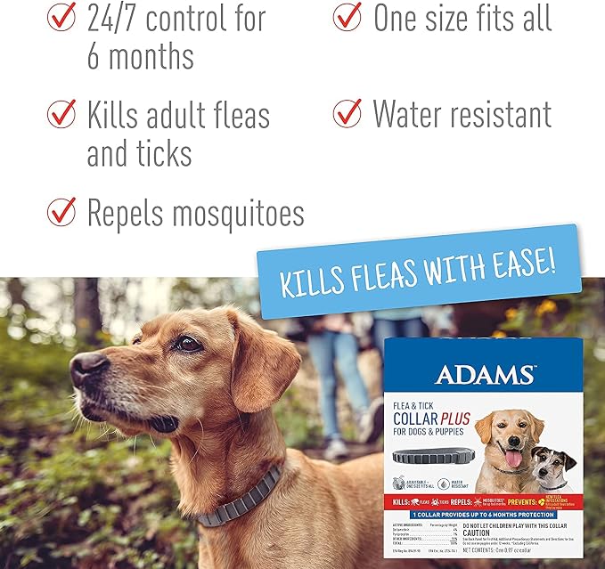 ADAMS Carpet Powder + Flea & Tick Dog Collar