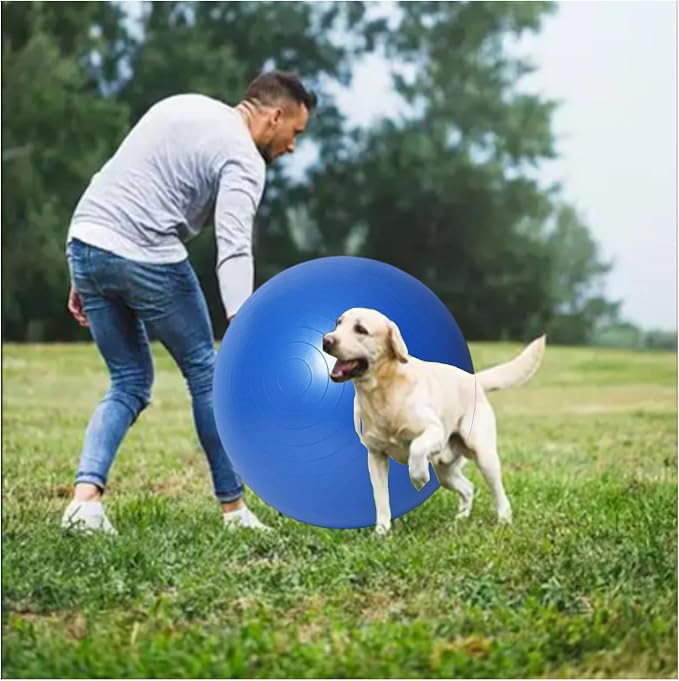 mwater Dogs Herding Ball Large (19inches)