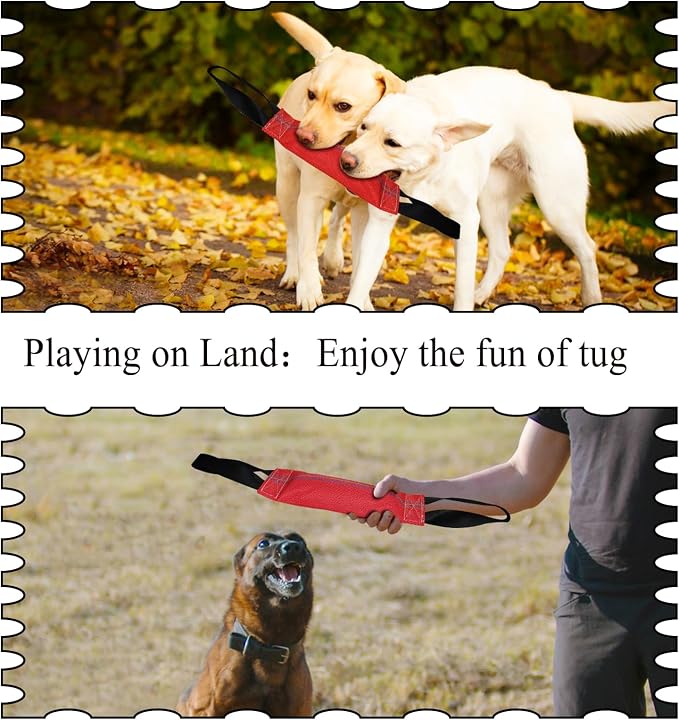 2-in-1 Floating Dog Toys & Dog Bite Tug Toy Interactive Pool Toys Fire Hose Tug Toys Tether Tug Outdoor Dog Toy,Tug of War Dog Toy for Self Play Interactive Pull Toy for Park,Yard, Lawn