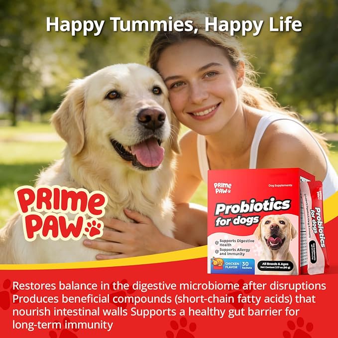 Probiotics for Dogs Digestive Health, 20 Billion CFU Dog Probiotic with Digestive Enzymes & Pumpkin Powder, Soft Powder, 30 Sachets