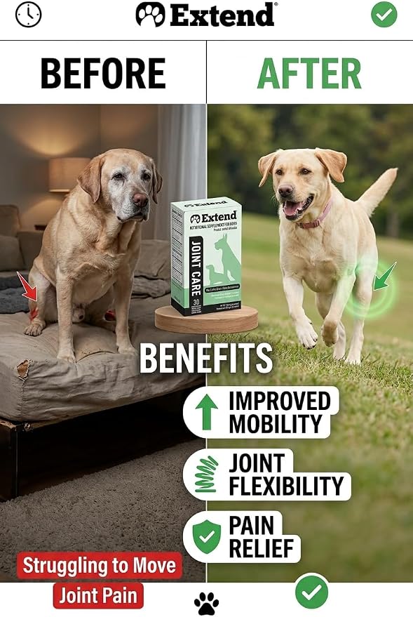 Extend Dog Hip and Joint Supplement Beef Flavored Powder Packets with Glucosamine, Chondroitin, MSM & Collagen, Hip & Joint Support, Mobility & Cartilage Health, Daily Dog Supplement, 60 Count