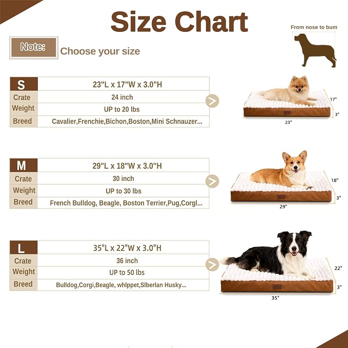 Orthopedic Dog Bed with Firm High-Density Egg Crate Foam Mattress,Soft Short Plush Surface Pet Beds,Machine Washable with Removable Cover & Non-Slip Bottom for Small Breeds(Brown, 23"L x 17"W x 3"H)