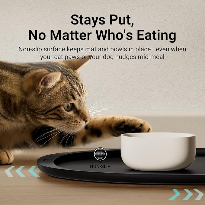DownyPaws Cat Food Mats for Floors Waterproof, BPA Free Silicone Pet Feeding Mat, Non-Slip Pet Food Mat with High Raised Edge, Cat Placemat for Messy Drinkers, 18"×12.5", Black